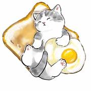 代码猫的个人资料头像