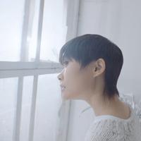 被冤成粽子的嘉兴纯苞头像