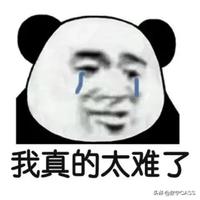 宅在家的小肥肥头像