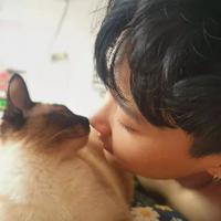 台东吴彦祖头像