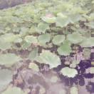 sillen的个人资料头像