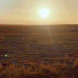 Kristy蛋黄苏头像