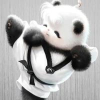 成已咫尺心必C头像