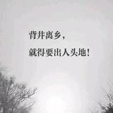 水鱼儿520头像