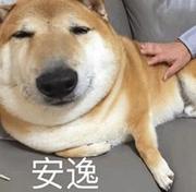 徐菜坤的个人资料头像