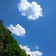 young705的个人资料头像