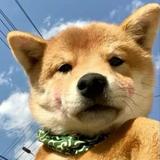VACATION606头像