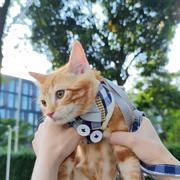 前端er小Z的个人资料头像
