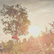 阳光予你的个人资料头像