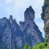 热心阳明心学头像