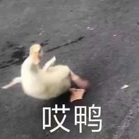 狂飙的老头乐头像
