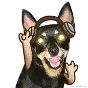 凉粉在搬砖的个人资料头像