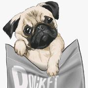 no_back_way的个人资料头像