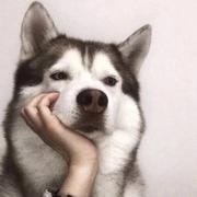 轻易云数据集成平台的个人资料头像