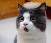 一定要快乐啊的个人资料头像