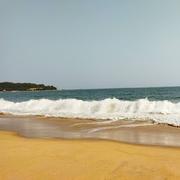 wing872的个人资料头像