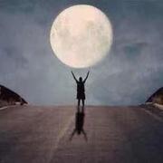 ALL82的个人资料头像