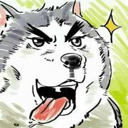 乐此不疲baby的个人资料头像