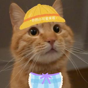 橘猫小尾巴头像