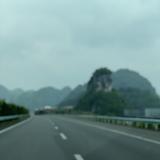 西南王大拿头像