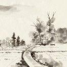 凭栏听雨不想说话的个人资料头像