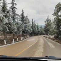 用户6408493248831头像