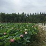 用户2354262449036头像