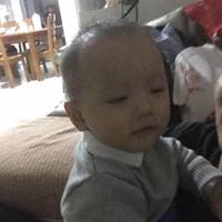 执行董事27头像