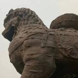 河北森桓丝网头像