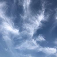 勇敢的奶茶QTP头像