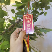RMB富民头像