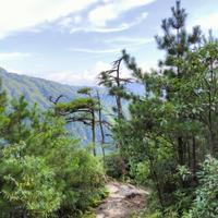 自由青山mI头像