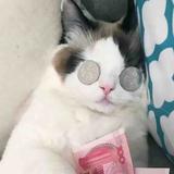 用户2992532570091头像
