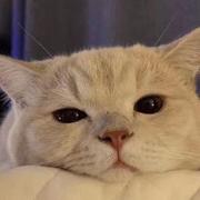 一生971的个人资料头像