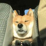 真让人头大啊头像