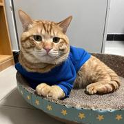 三石仙人的个人资料头像