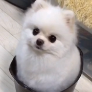 jnie666的个人资料头像