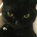 燃烧的小宇宙的个人资料头像