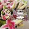 辉少头像