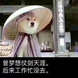 再见不负遇见1025头像