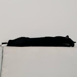 斯坦尼斯拉夫斯基7Z9J头像