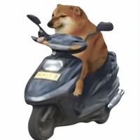 揸個小破車到處溜達头像