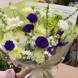 简单星星DZL头像