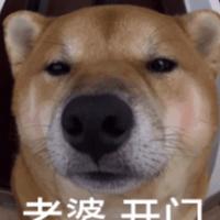 手机用户12433123418头像