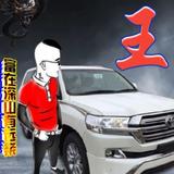 v王某人头像