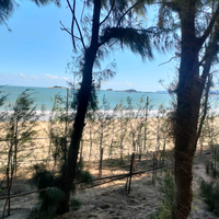 金顺发建材头像