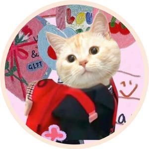 毛毛橘猫meme日记头像