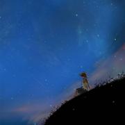 WEi的个人资料头像