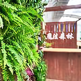 魔法森林多肉植物园头像