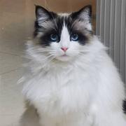 Maxphilic的个人资料头像